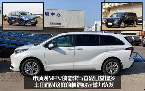 国产19p,引领科技潮流的创新之作 第3张 国产19p,引领科技潮流的创新之作 第3张