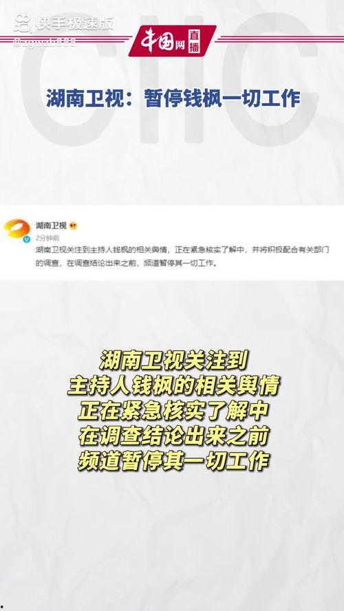 娱乐圈的那个吃瓜文件,真相与谣言的交织